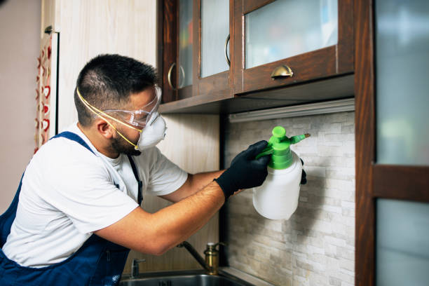 Pest Control Cost in Pisgah, AL