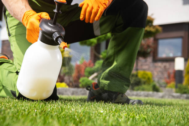 Best Pest Control for Businesses  in Pisgah, AL