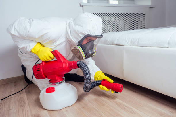 Wasp Removal Services in Pisgah, AL