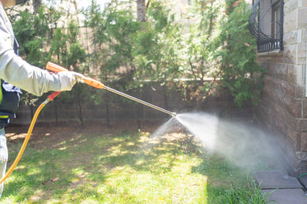 Best Emergency Pest Control  in Pisgah, AL