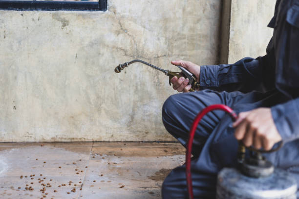 Best Affordable Pest Control Services  in Pisgah, AL
